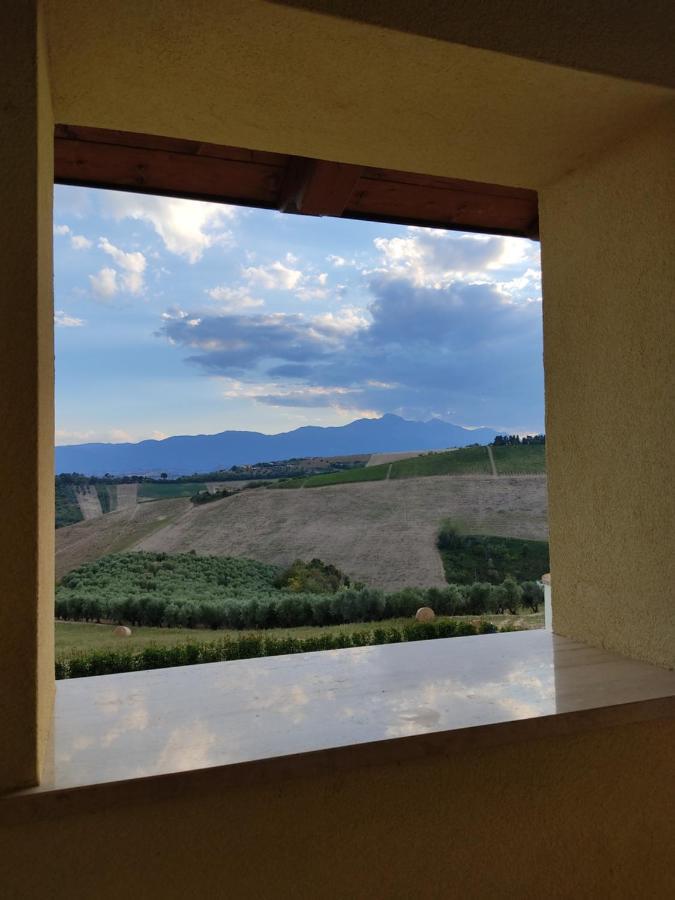 Agriturismo Terra Dei Falchi Castilenti Bagian luar foto