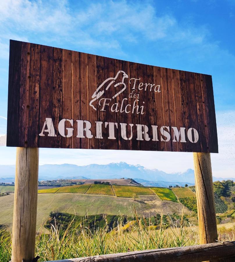 Agriturismo Terra Dei Falchi Castilenti Bagian luar foto